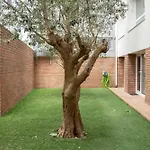 Magnolia & 3* بورتو